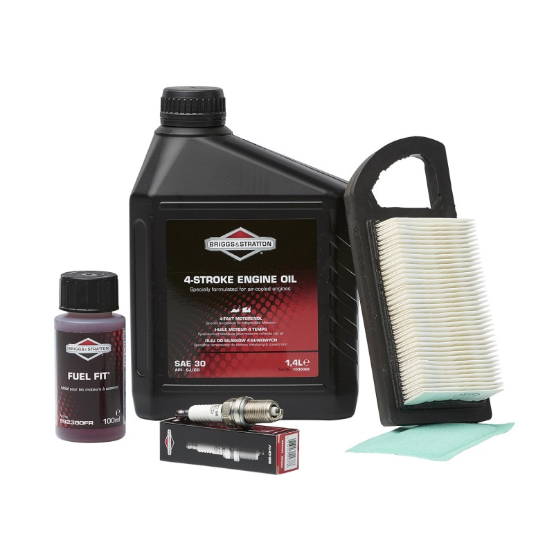 PACK MOTEUR Série 21 OHV BRIGGS & STRATTON PACK MOTEUR Série 21 OHV BRIGGS & STRATTON