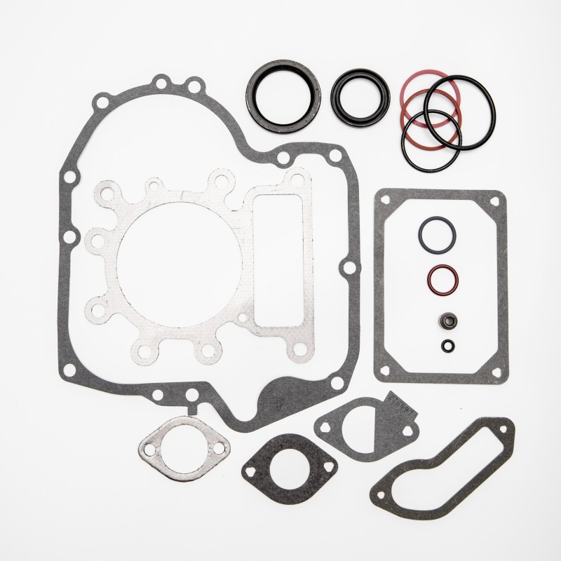 POCHETTE DE JOINTS MOTEUR 796181 SÉRIE 21 OHV BRIGGS & STRATTON POCHETTE DE JOINTS MOTEUR 796181 SÉRIE 21 OHV BRIGGS & STRATTON